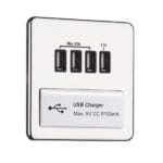 Flat Plate Screwless 1G DP Switched Single Socket